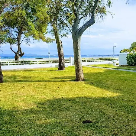 Sa Nacra * Alcúdia